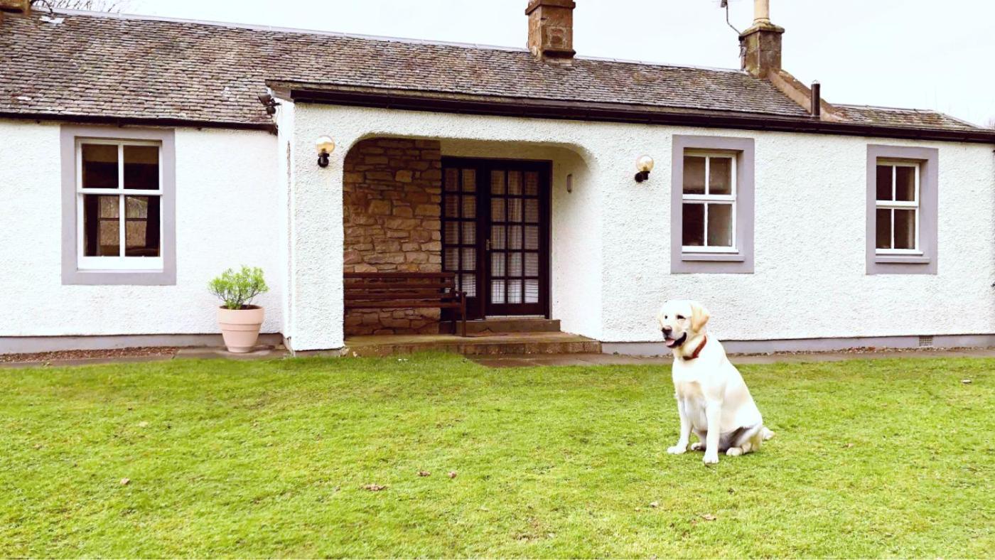 Kilconquhar  キルコンカー キャッスル エステート Bed & Breakfast エクステリア 写真